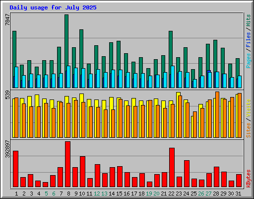 Daily usage for July 2025