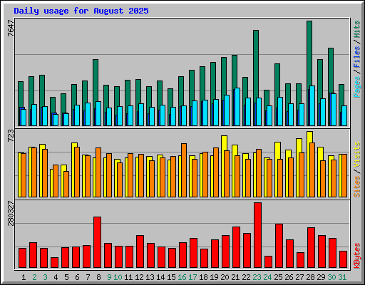 Daily usage for August 2025
