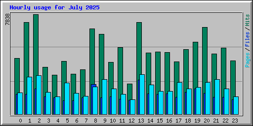 Hourly usage for July 2025