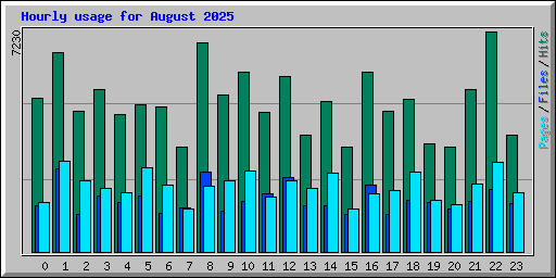 Hourly usage for August 2025