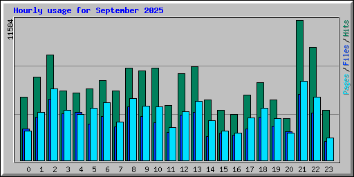 Hourly usage for September 2025