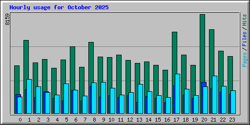 Hourly usage for October 2025
