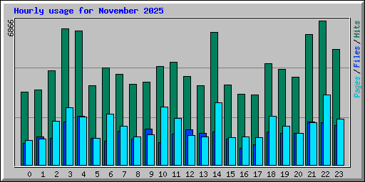 Hourly usage for November 2025
