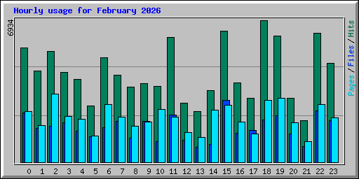 Hourly usage for February 2026